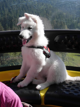 Enola in der Seilbahn enola